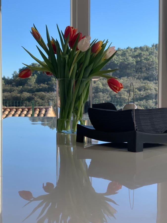 Villa Bonheur - Provence - Cote D'Azur Cabasse Εξωτερικό φωτογραφία